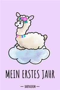 Mein erstes Jahr Babyalbum