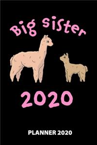 Big Sister 2020 Planner 2020