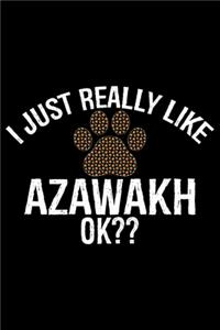 I Just Really Like Azawakh Ok?