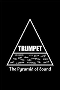 Trumpet Instrument Ensemble Orchestra Musician