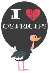 I Heart Ostrichs