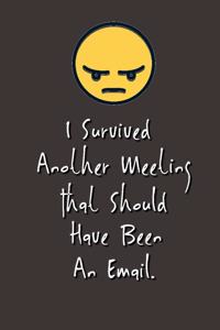I Survived Another Meeting That Should Have Been An Email.