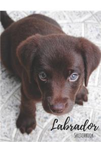 Labrador Sketchbook