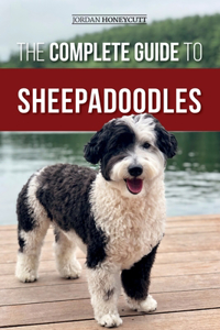 Complete Guide to Sheepadoodles