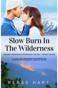Slow Burn In The Wilderness