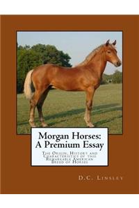 Morgan Horses