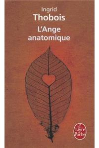 L Ange Anatomique
