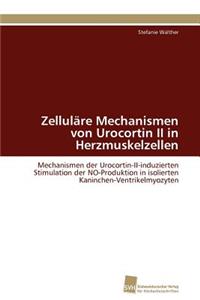 Zelluläre Mechanismen von Urocortin II in Herzmuskelzellen