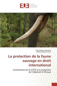 Protection de la Faune Sauvage En Droit International