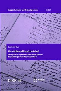 Wie Viel Bluntschli Steckt in Huber?