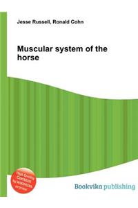 Muscular System of the Horse