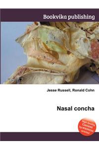 Nasal Concha