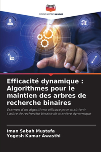 Efficacité dynamique