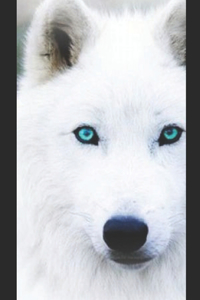 Rejected White Wolf