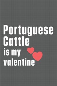Portuguese Cattle is my valentine