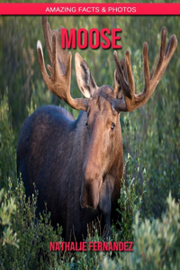 Moose