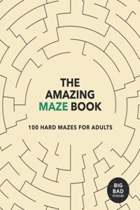 The Amazing MAZE Book