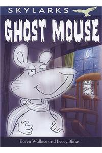 Ghost Mouse