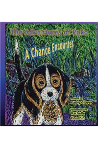 The Adventures of Poko - A Chance Encounter