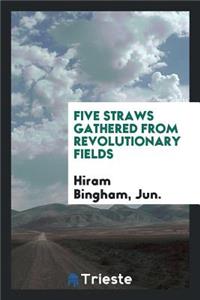 Five Straws Gathered from Revolutionary Fields