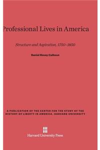 Professional Lives in America