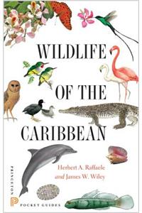 Wildlife of the Caribbean