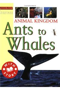 Starters: Animal Kingdom-Ants To Whale