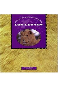 Leones, Los
