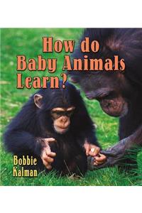 How Do Baby Animals Learn?