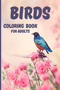 Birds Coloring Book for Adults