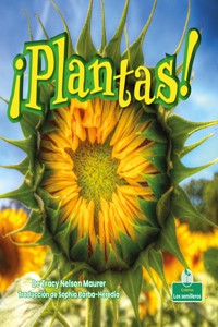 ¡Plantas!