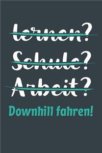 lernen? Schule? Arbeit? Downhill fahren!