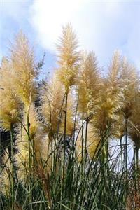 Pampas Grass (Cortaderia selloana) Journal