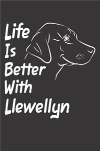 Life Is Better With Llewellyn