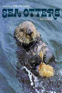 SEA OTTERS PHOTOGRAPHS BY TOM & PAT LEES