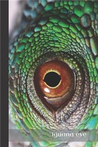 iguana eye