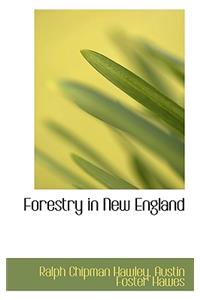 Forestry in New England