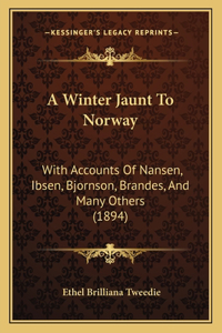 Winter Jaunt To Norway