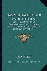 Verhalten Der Endothelien