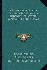 A Bortonugy Multja, Elmelete Jelen, Allasa, Kulonos Tekintettel Magyarorszagra (1867)