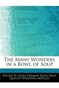 The Many Wonders in a Bowl of Soup