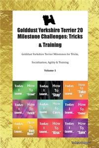 Golddust Yorkshire Terrier 20 Milestone Challenges