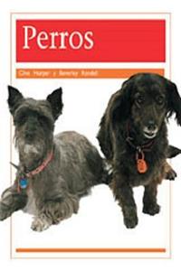 Perros (Dogs)