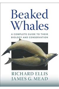 Beaked Whales