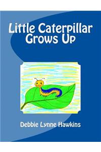Little Caterpillar Grows Up