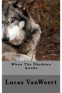 When The Shadows Awake