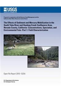 Effects of Sediment and Mercury Mobilization in the South Yuba River and Humbug Creek Confluence Area, Nevada County, California