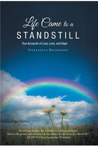 Life Came to a Standstill