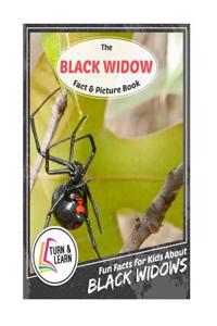 The Black Widow Fact and Picture Book