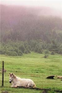 Journal Resting Pasture Horses Equine